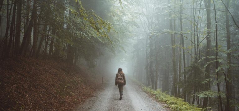 Willkommen beim WALDKAUZ WALDKAUZ