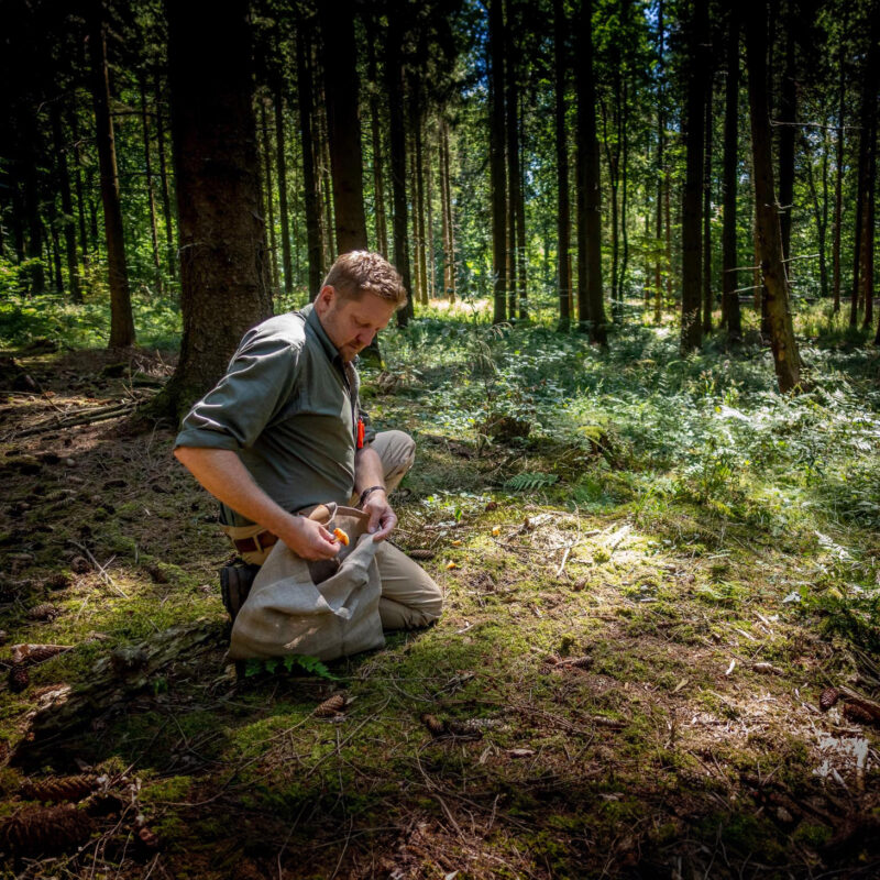 Mann mit Pilzsammeltasche kniet am Waldboden