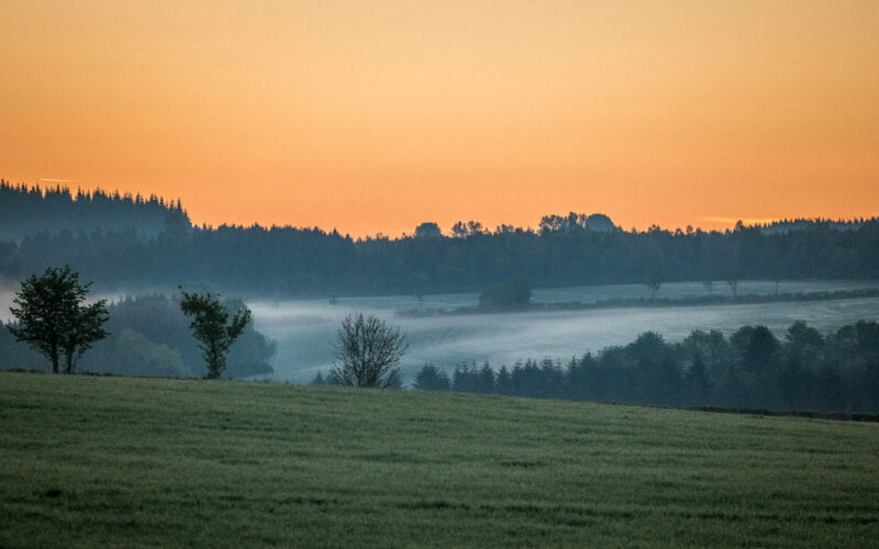 Nachhaltigkeit beim WALDKAUZ