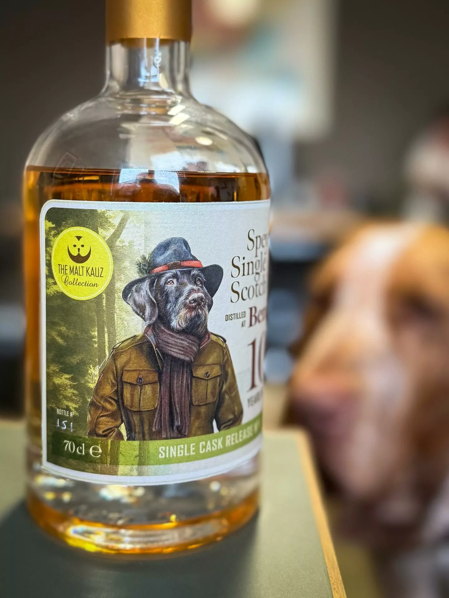 Wir freuen uns auf den ersten Drahthaar in unserem Büro (wenn auch nur auf dem Label unserer ersten THE MALT KAUZ Abfüllung). Detto weiß dagegen noch nicht so recht, was er von der neuen Konkurrenz halten soll… #deutschdrahthaar #singlecask #braccoitaliano #waldkauzloden