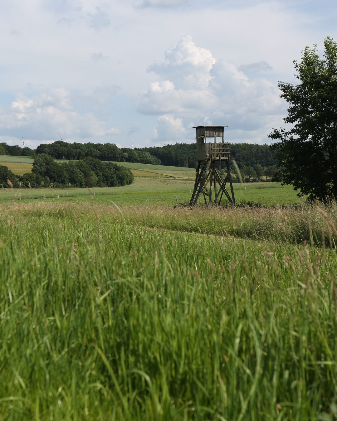Von Jägern für Jäger entwickelt. WALDKAUZ-Produkte begleiten Euch zuverlässig im Revier, wenn es auf leise Bewegung, Funktion und ehrliche Robustheit ankommt. Für echte Jagdpraxis gemacht, ohne Kompromisse. #Jagdpraxis #Jagd #Jagen #Jagdausrüstung #Loden